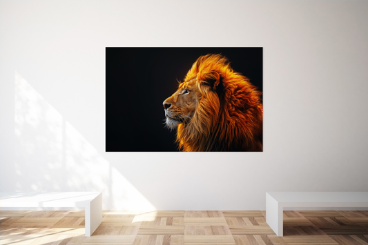 Plexiglass :: Lion